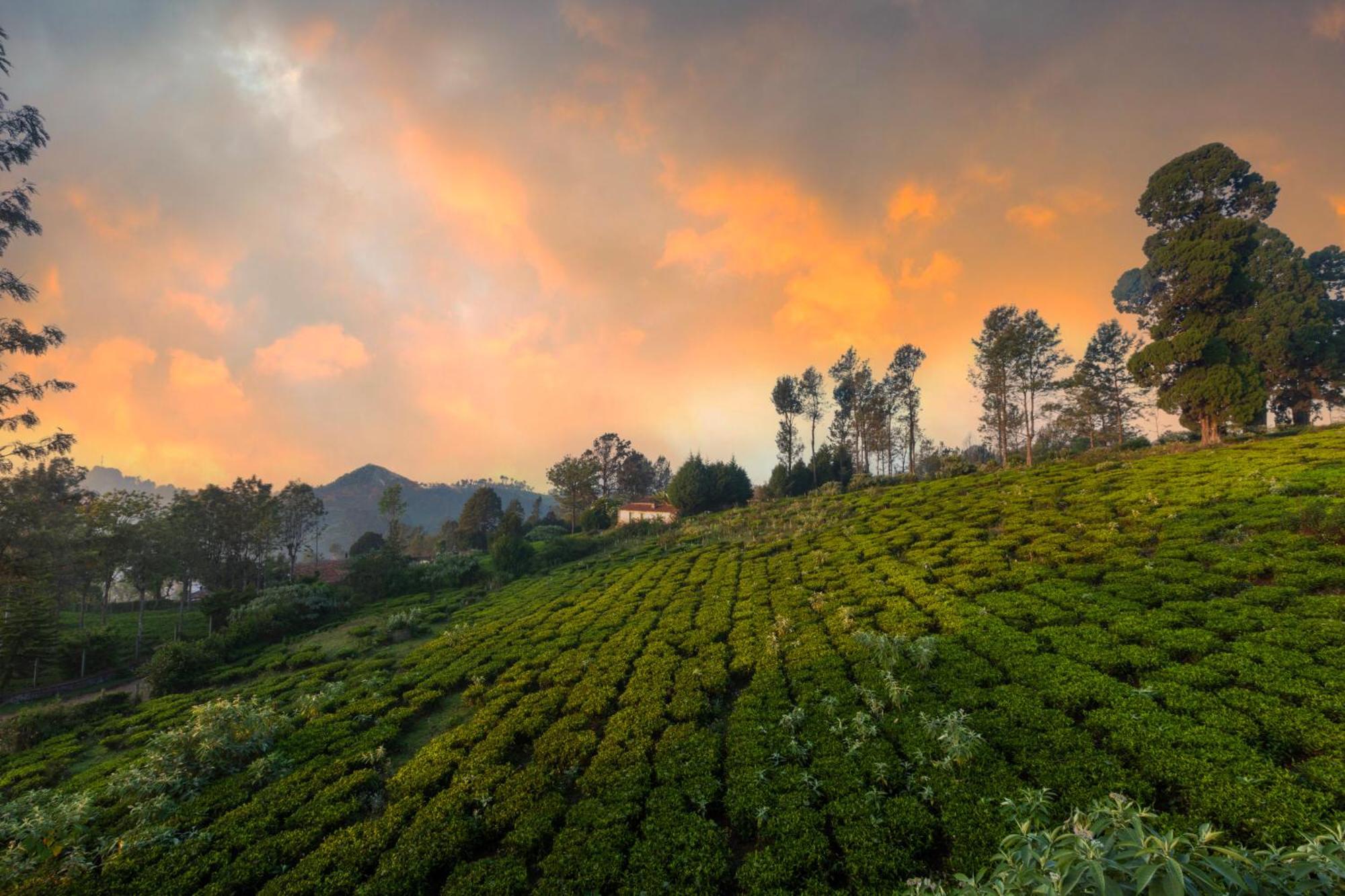 Solitude By Nature Resorts And Stays Kotagiri Exterior photo